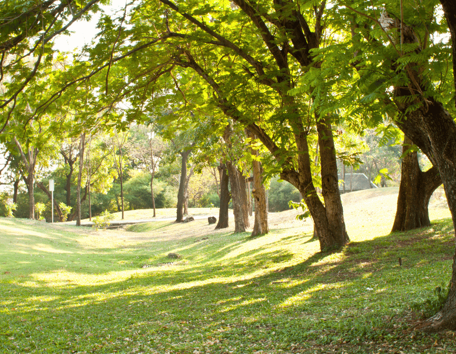 best areas in the UK to invest in property